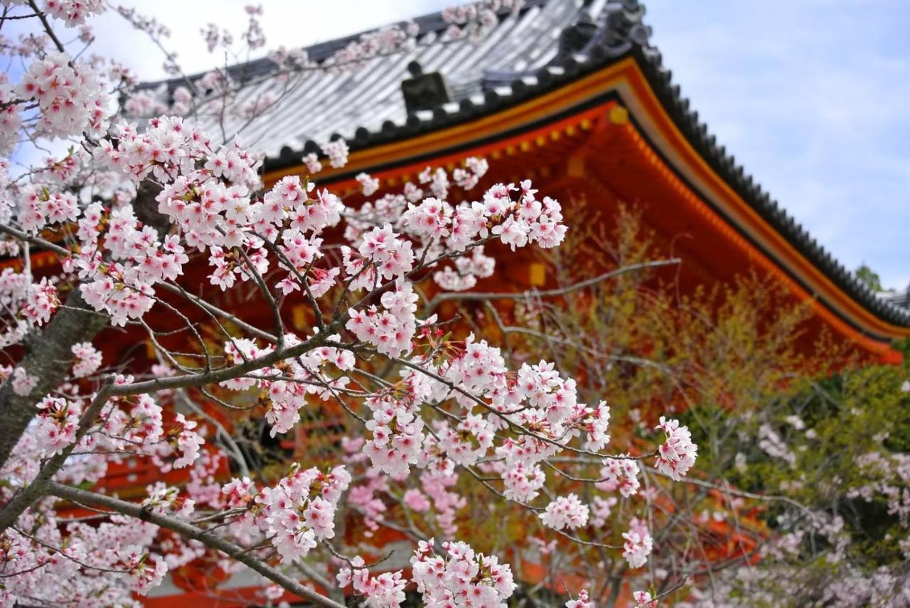 Stay Sakura Kyoto Matsuri Zewnętrze zdjęcie